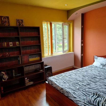 Вілла Casa De Relaxare Brad  Екстер'єр фото